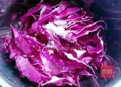 Purple Cabbage Salad Recipe Illustration 1