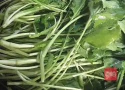 Illustration of how to make hot pepper rape 1 