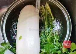 Illustration of making shredded coriander and radish 3