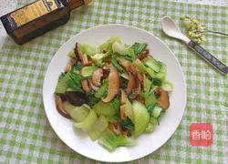 Illustration of making olive oil, mushrooms and rapeseed 11