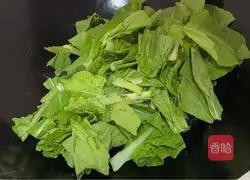 Garlic and cabbage Practice illustration 4