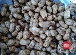 Illustration of how to make salted peanuts 1