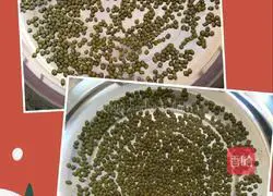 Green Illustration of how to make bean sprouts 1