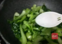 Illustration of how to make stir-fried chicken vegetables 6