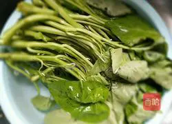 Illustration of home-cooked water spinach 2