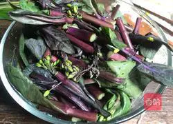 Illustration of how to make vinegar Hongshan vegetable moss 2