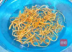 Illustration of how to make fried snow peas with Cordyceps flowers 3