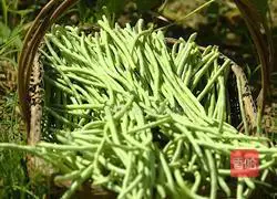 Appetizer Lao Tan Sour Bean Delicious Jar Dish Spicy and Crispy Cool recipes 1