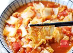 Illustration of tomato and baby cabbage 13