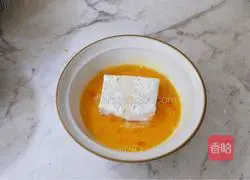 Illustration of Pan-fried Cumin Tofu 13