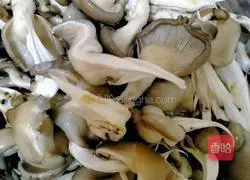 Illustration of dry fried oyster mushrooms 1