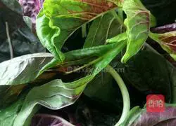 Illustration of how to cook amaranth with garlic 1