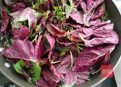 Illustration of how to make cold red amaranth 6