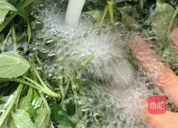 Illustration of how to cook Mengcai 5