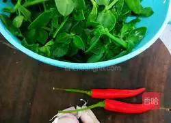 Illustration of how to make cold Tianqi vegetables 1