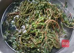 Garlic Purslane Recipe Illustration 4