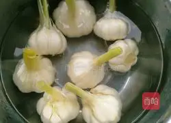 Illustration of how to make sugar garlic 1