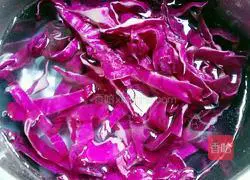 Purple Cabbage Salad Recipe Illustration 2