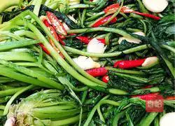 Illustration of how to make pickled mustard 5