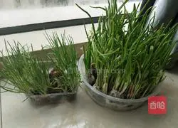 Illustration of braised old tofu 5