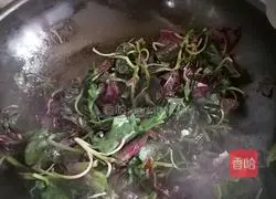 Illustration of how to make garlic amaranth 3