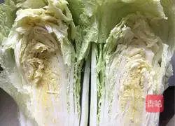 Illustration of Korean Spicy Cabbage 3