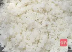 Illustration of how to make meat floss sushi 3