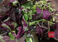 Illustration of how to make garlic amaranth 3