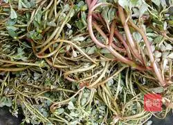 Garlic Purslane Recipe Illustration 2