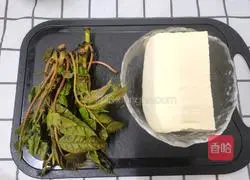 Illustration of the seasonal dish of Chinese toon sprouts mixed with tofu 1