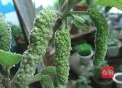 How to make steamed sticks Illustration 1