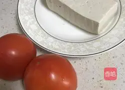 Illustration of tomato braised tofu 1