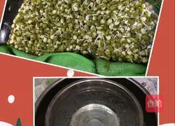 Illustration of how to make mung bean sprouts 4