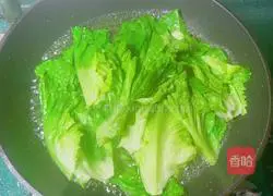Illustration of how to make baby lettuce in oyster sauce 4