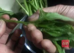Illustration of how to make peanuts and spinach stalks 2