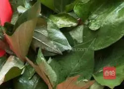 Illustration of how to make cold sweet potato leaves 2