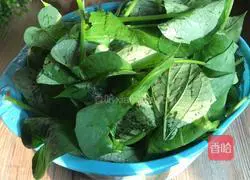How to eat sweet potato leaves lightly Illustration of how to do it 1