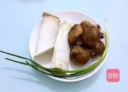 Illustration of grilled assorted mushrooms 1