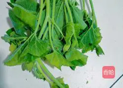 Illustration of how to make stir-fried pumpkin vines 1