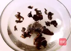 Illustration of how to make vinegar fungus 2