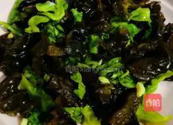 Illustration of how to make stir-fried cabbage and fungus 14