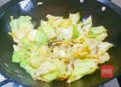 Illustration of home-style cabbage with sauce 3