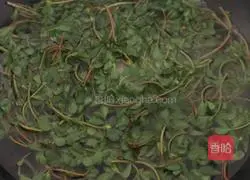 Cold purslane recipe 2