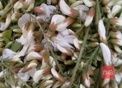 Illustration of how to steam locust flowers 1