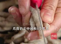 Illustration of how to make spicy and lemony boneless chicken feet as a snack or as a side dish 5