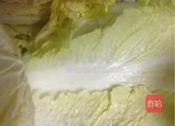 Recipe for Korean Spicy Cabbage Illustration 2