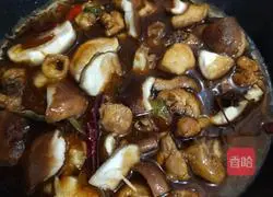 Illustration of how to make braised chicken 6