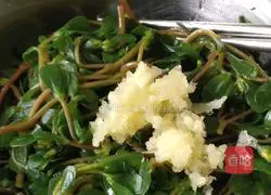 Cold purslane recipe 4