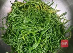 Gobi salad with green onion recipe 1