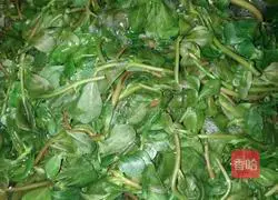 Cold purslane Illustration of how to do it 5